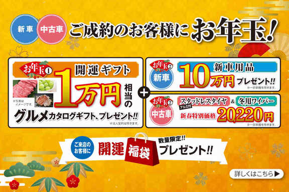 ネッツトヨタ秋田