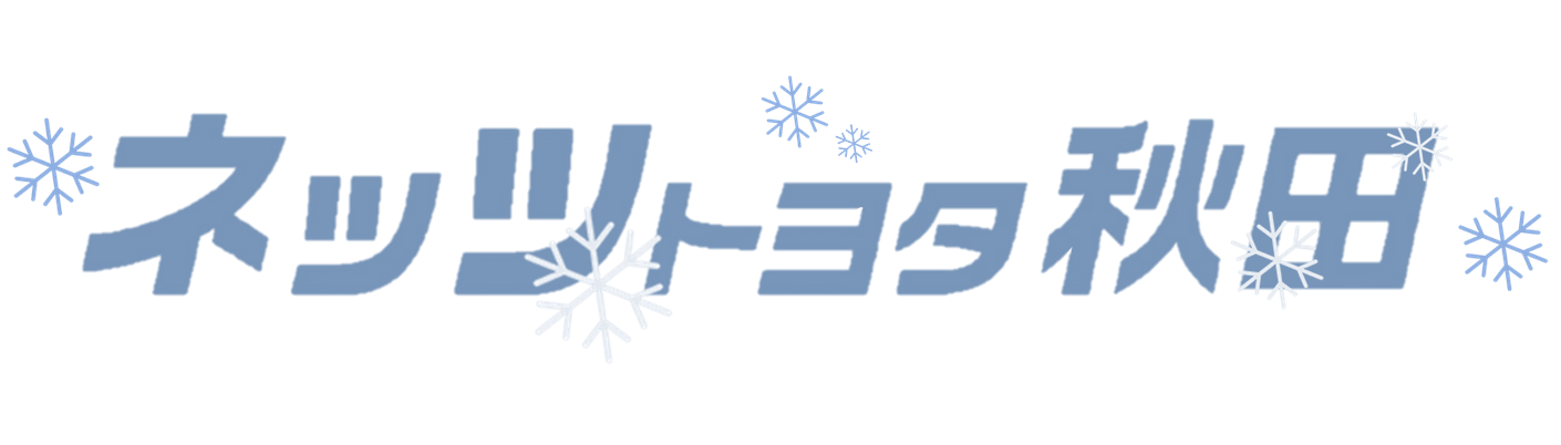 netz_winter2